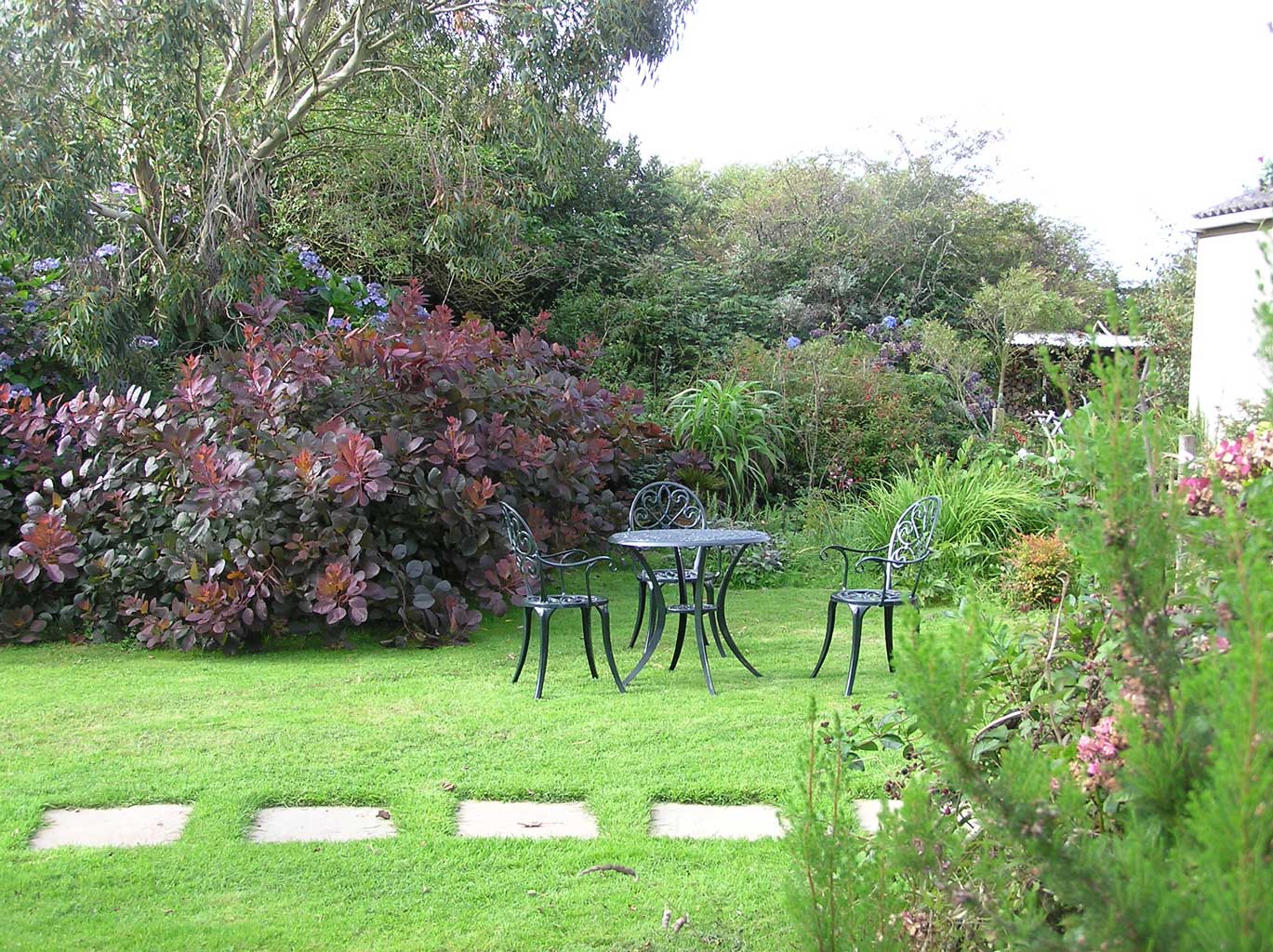 The Studio garden The Studio garden