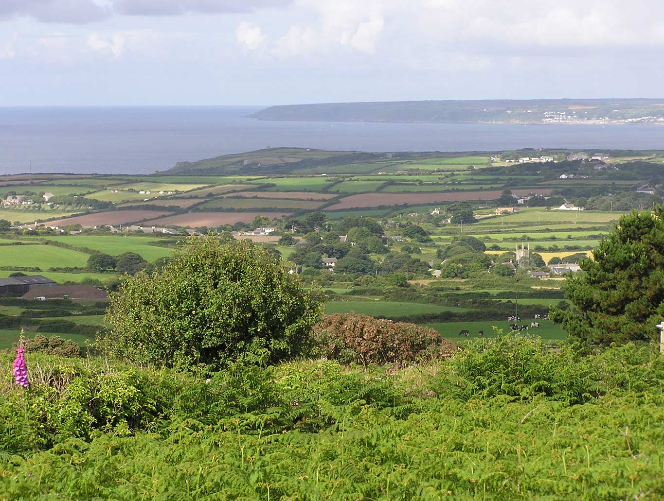Walk up Tregonning Hill Walk up Tregonning Hill