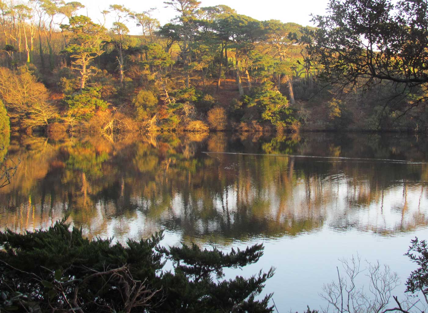 javascript image slider